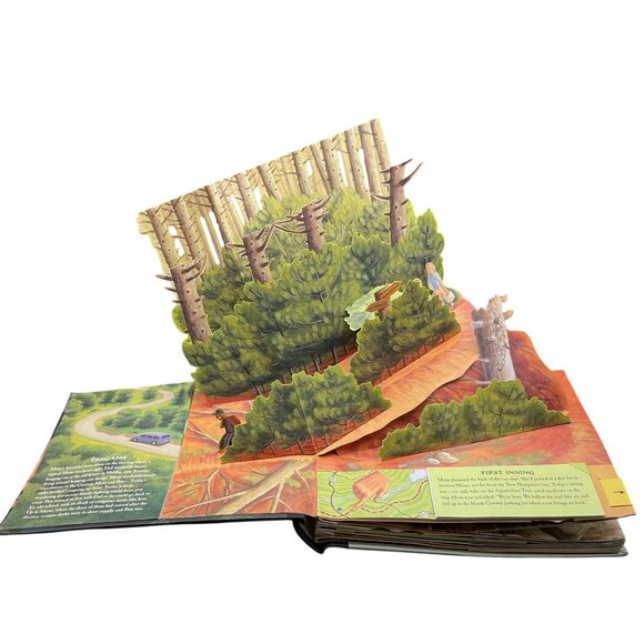 STEPHEN KING THE GIRL WHO LOVED TOM GORDON POP-UP BOOK LIMITED EDITION 2004 - Picture 3 of 10